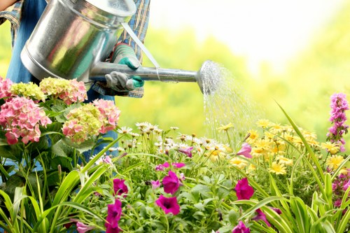 Tools and equipment for summer garden maintenance