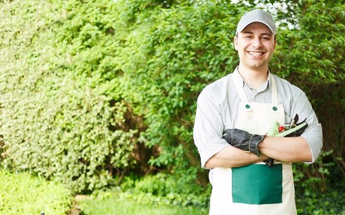 Step-by-step guide to hedge trimming
